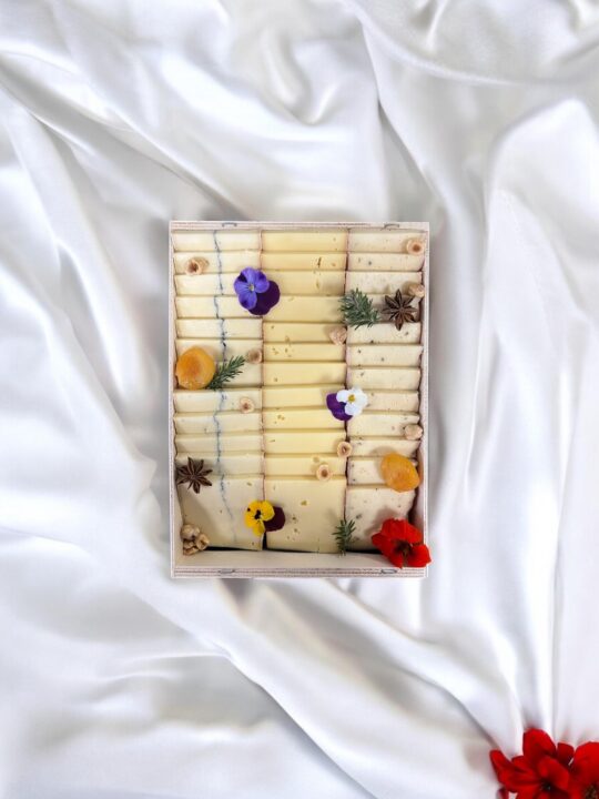 Photoroom_20260322_092339